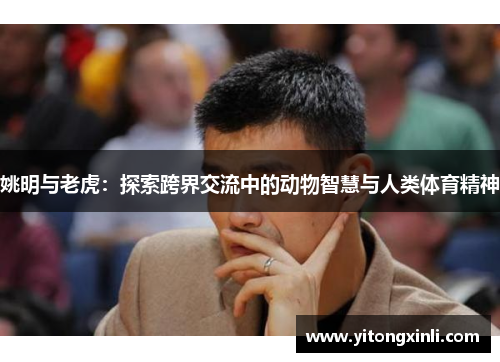 姚明与老虎：探索跨界交流中的动物智慧与人类体育精神