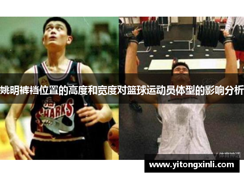 姚明裤裆位置的高度和宽度对篮球运动员体型的影响分析