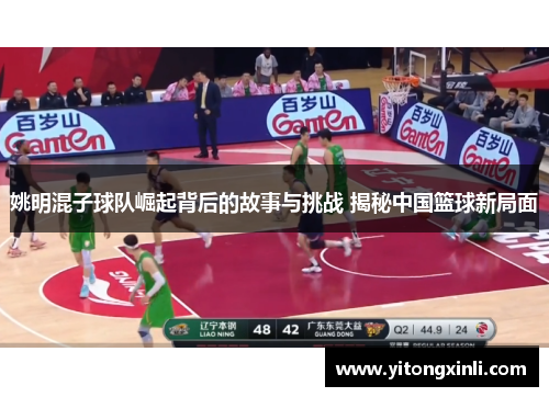 姚明混子球队崛起背后的故事与挑战 揭秘中国篮球新局面
