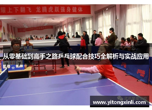 从零基础到高手之路乒乓球配合技巧全解析与实战应用